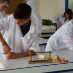 S&rsquo;occuper de ses oignons