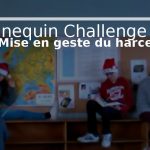 Mannequin Challenge sur Le Harcèlement