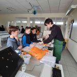 Les Petits Débrouillards