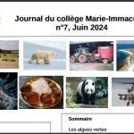 Journal n°7