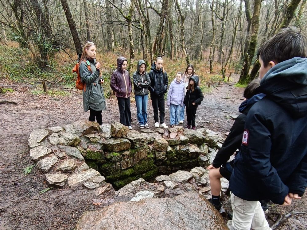 Sortie des 5ème à la Fontaine de Barenton