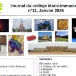 Journal n°11