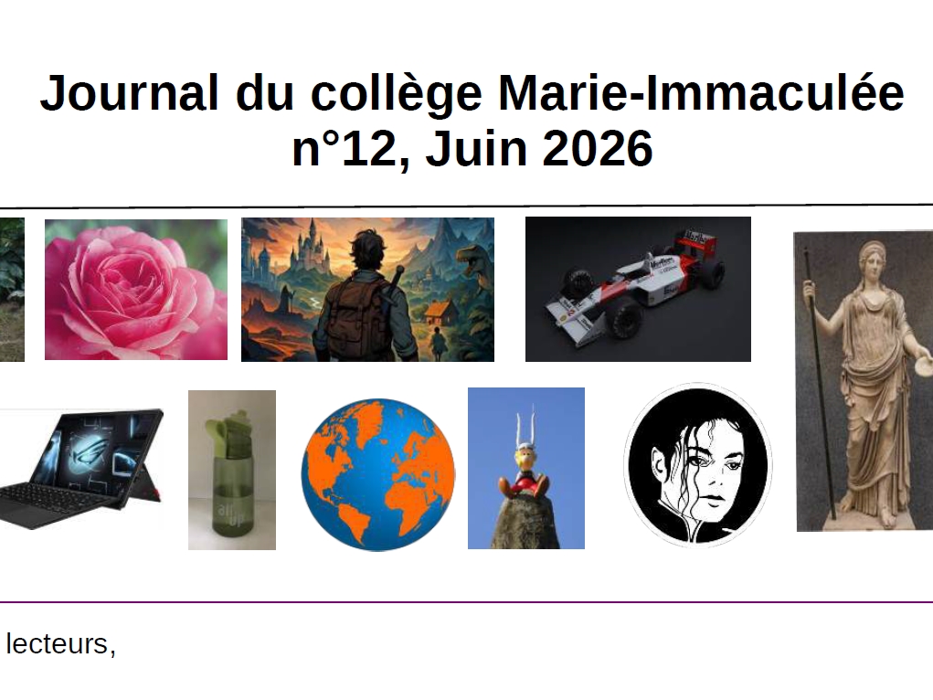 Journal n°12
